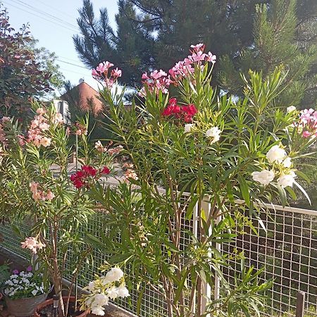 Marika Apartman Hajdúszoboszló Dış mekan fotoğraf